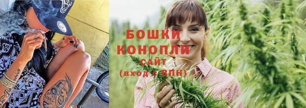 ALPHA-PVP Гусев