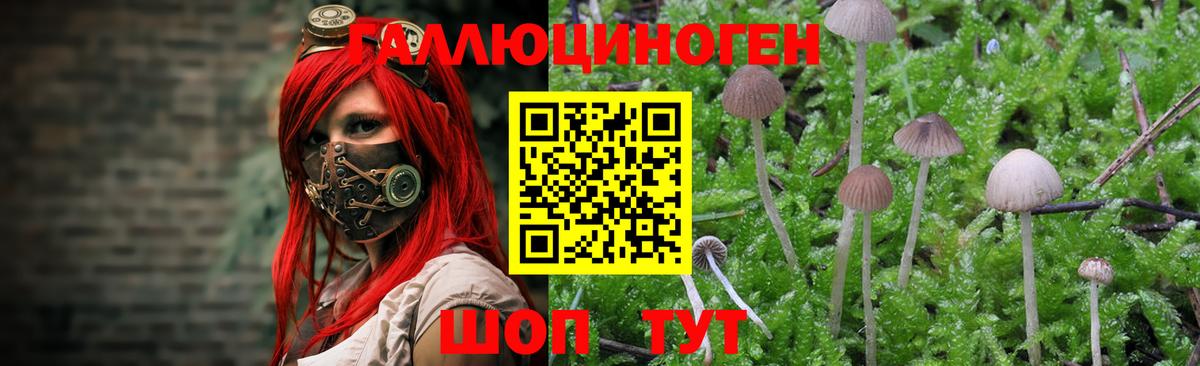 Псилоцибиновые грибы прущие грибы  Вход с VPN  Гуково 